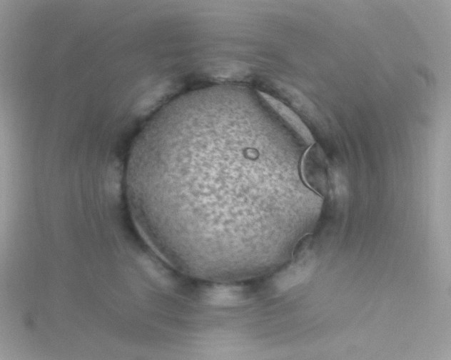 X0000115600664200911241556