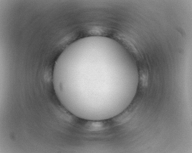 X0000115600665200911241556