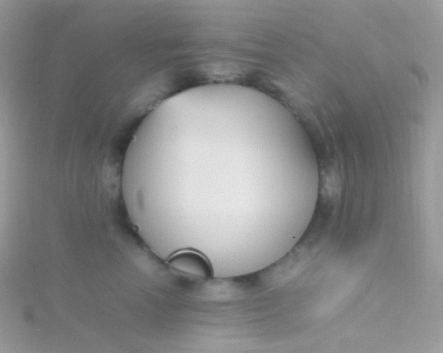 X0000115600666200911241556