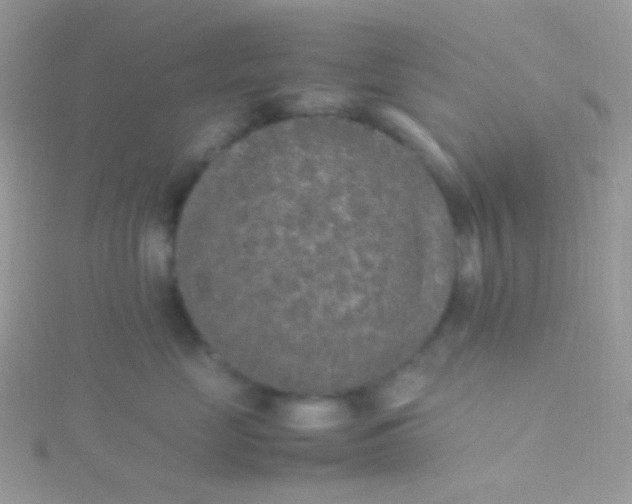 X0000115600669200911241556