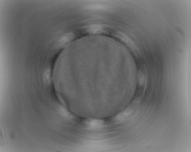 X0000115600670200911241556