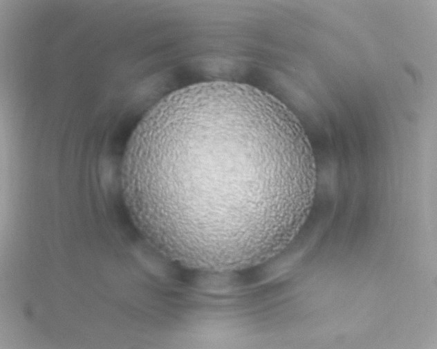 X0000115600671200911241556