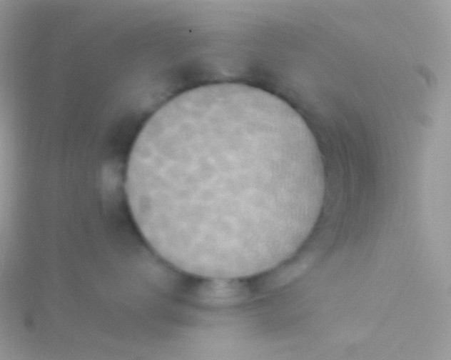 X0000115600672200911241556