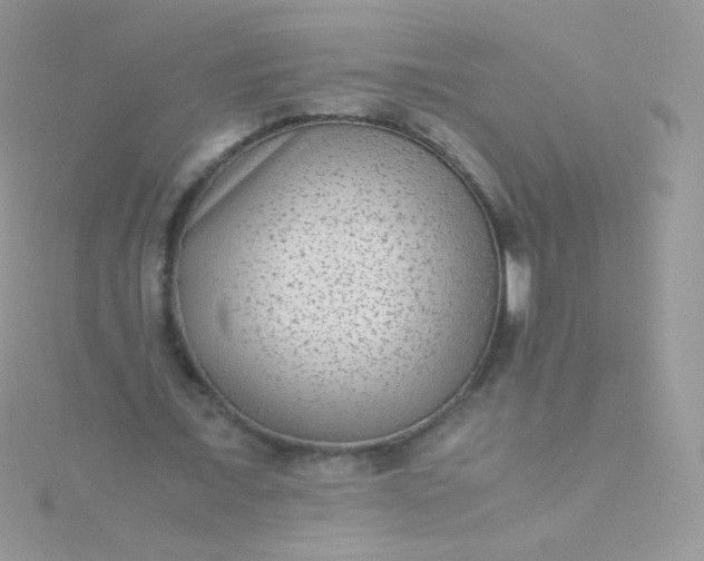 X0000115600675200911241555