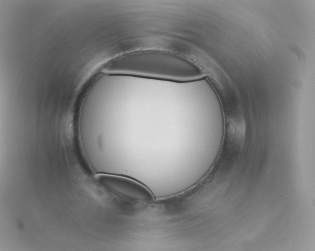 X0000115600676200911241555