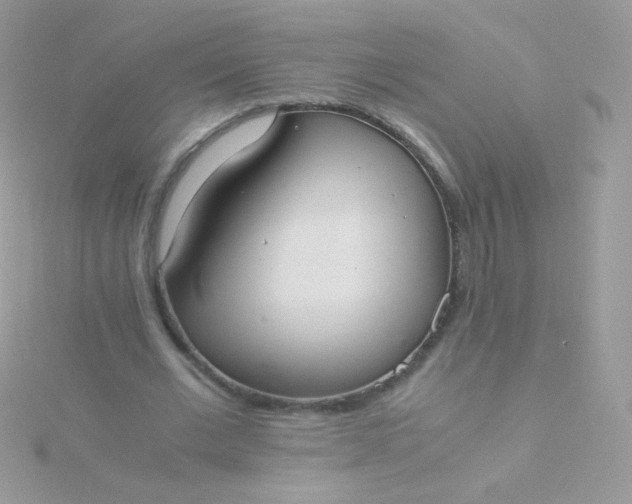 X0000115600677200911241555