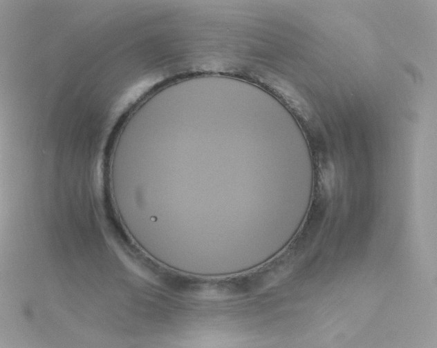 X0000115600678200911241555