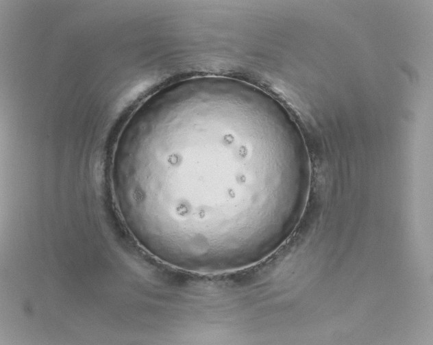 X0000115600679200911241555