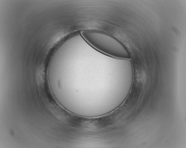 X0000115600680200911241555