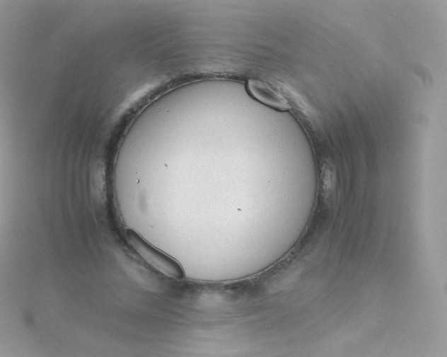 X0000115600684200911241555