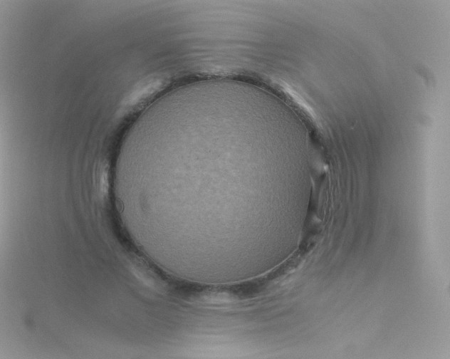 X0000115600685200911241555