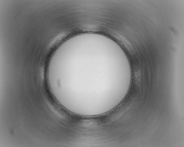 X0000115600686200911241555