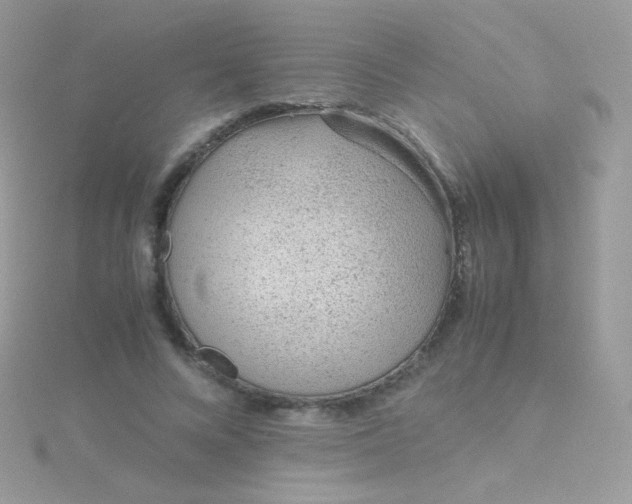 X0000115600688200911241555