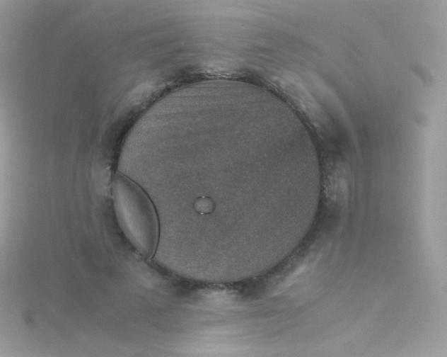 X0000115600689200911241555