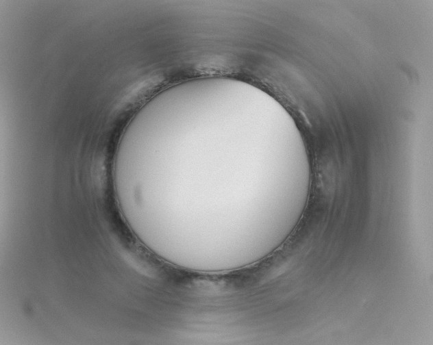 X0000115600690200911241555