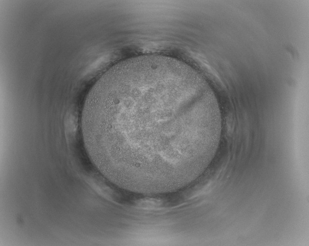 X0000115600691200911241555