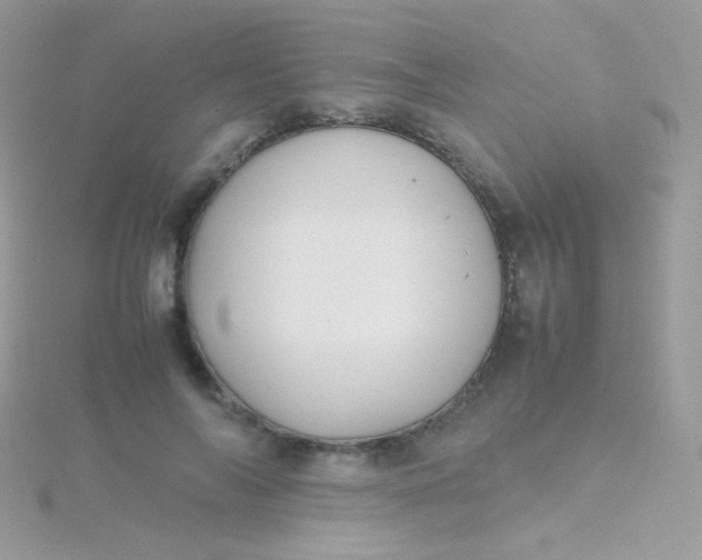 X0000115600694200911241555