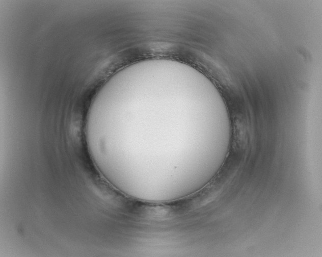 X0000115600698200911241555