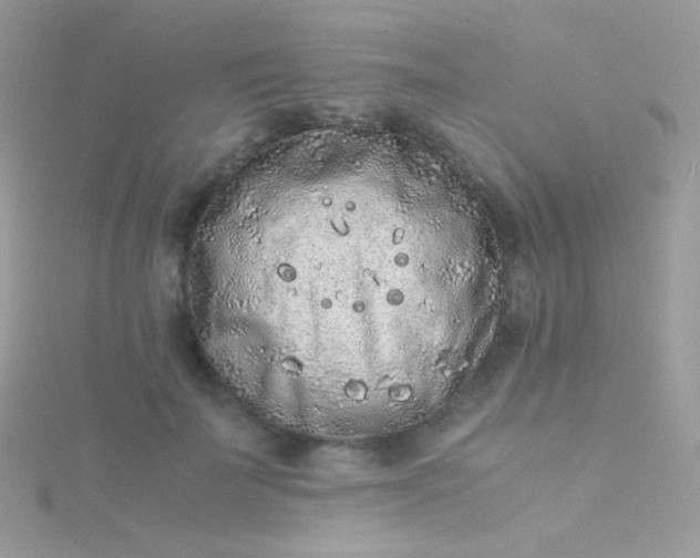 X0000115600699200911241555