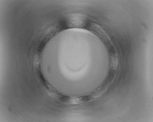 X0000115600701200911241555