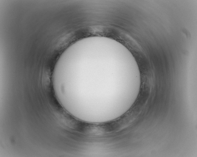 X0000115600702200911241555