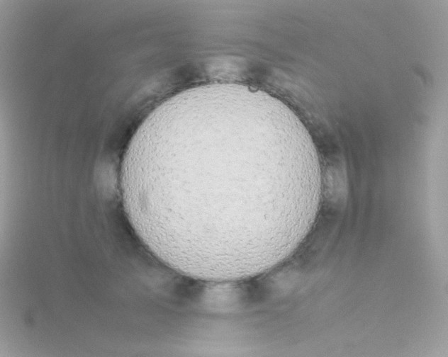 X0000115600705200911241555