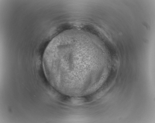 X0000115600707200911241555