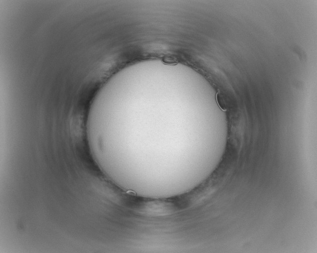 X0000115600708200911241555