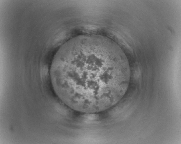 X0000115600711200911241555