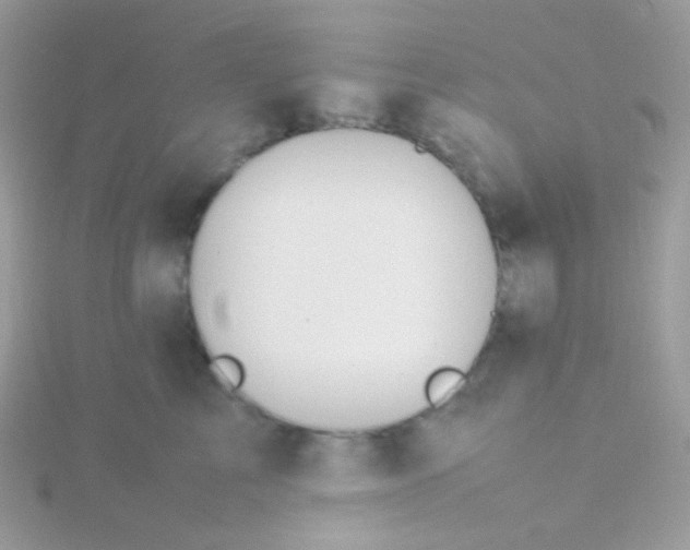 X0000115600713200911241555