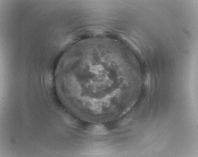 X0000115600715200911241555