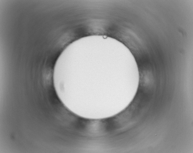 X0000115600717200911241555