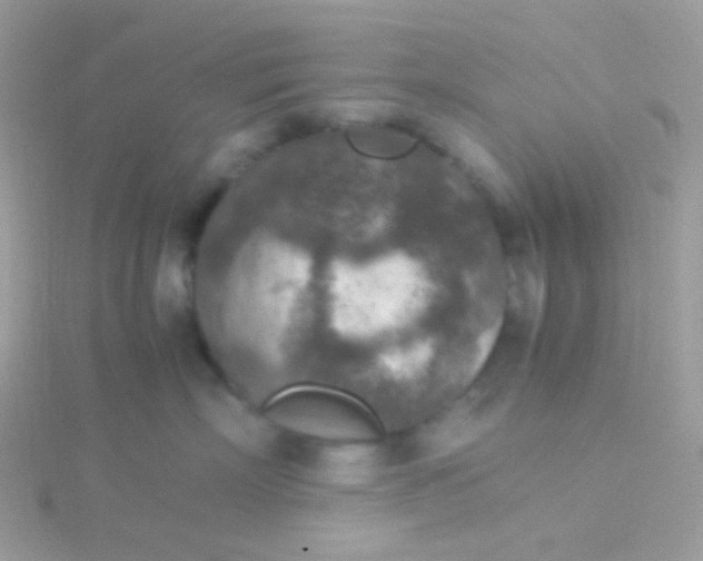 X0000115600718200911241555