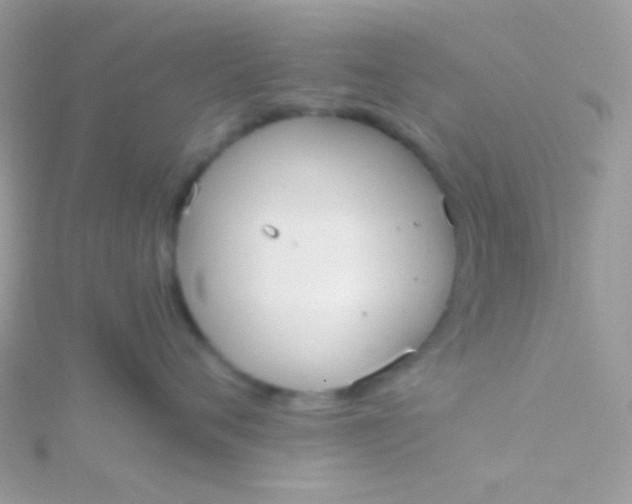 X0000115600720200911241555