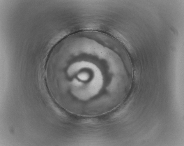 X0000115600721200911241554