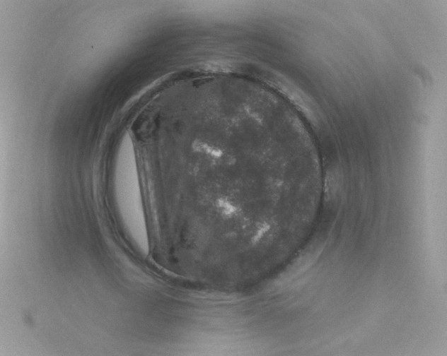 X0000115600722200911241554