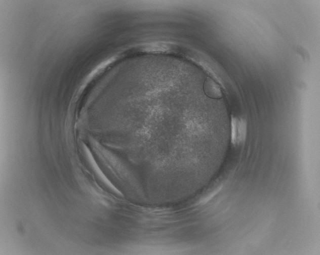 X0000115600723200911241554