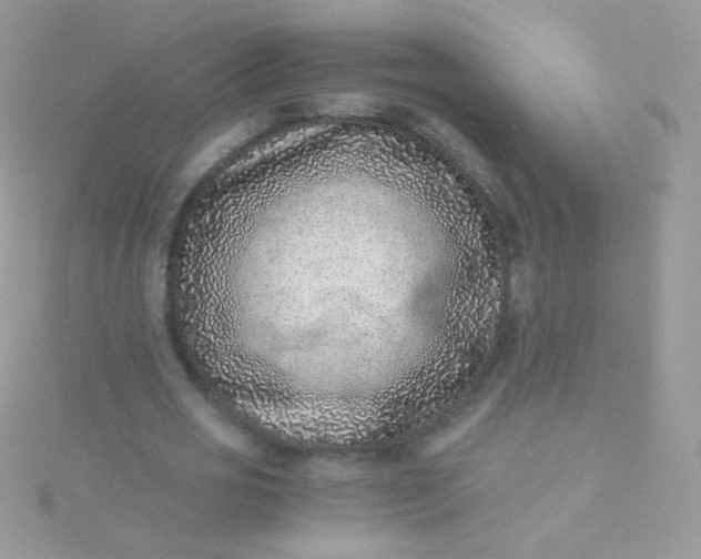 X0000115600725200911241554