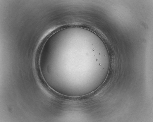 X0000115600726200911241554