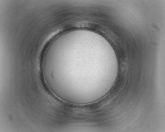 X0000115600727200911241554