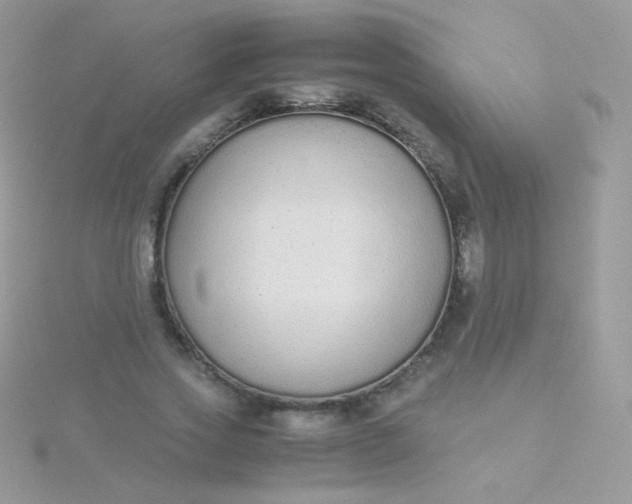 X0000115600733200911241554