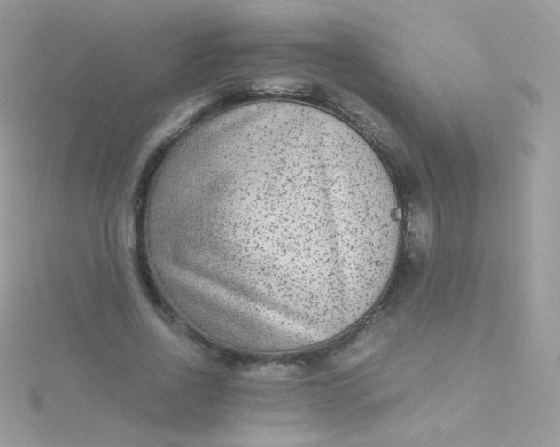 X0000115600734200911241554