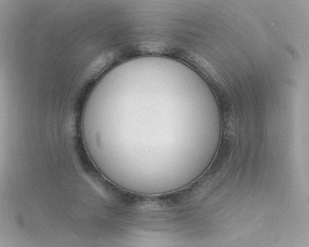 X0000115600738200911241554