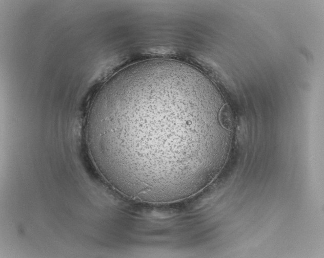 X0000115600739200911241554