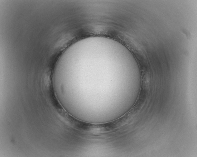 X0000115600746200911241554