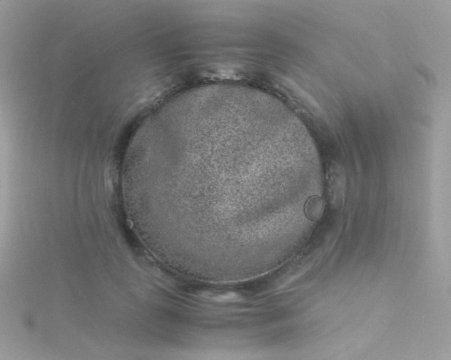 X0000115600747200911241554