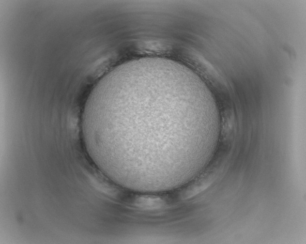 X0000115600749200911241554