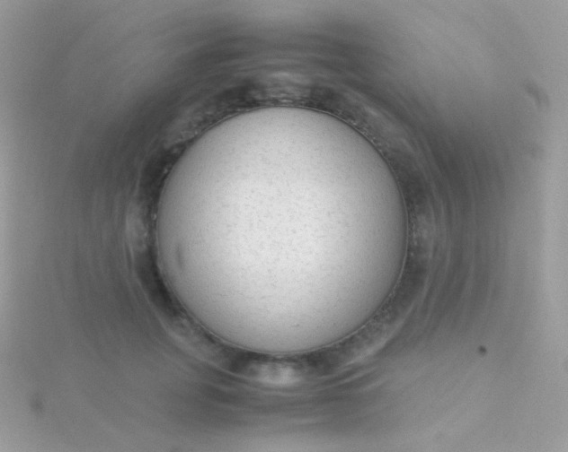 X0000115600751200911241554