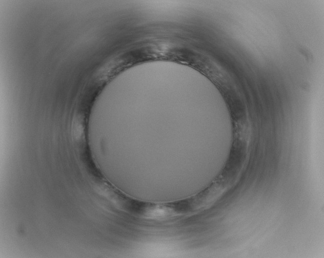 X0000115600754200911241555