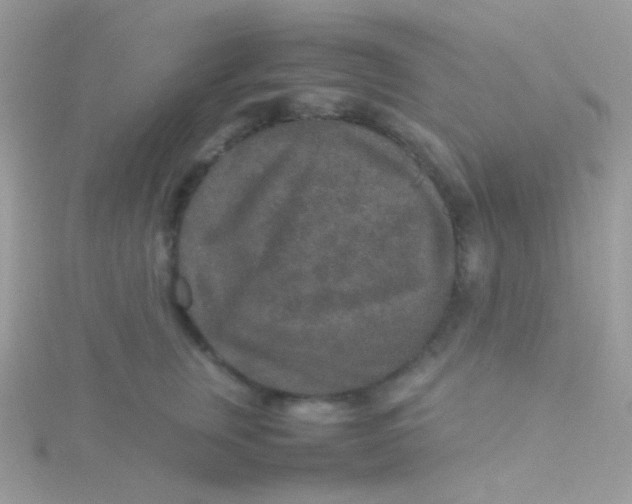 X0000115600759200911241555